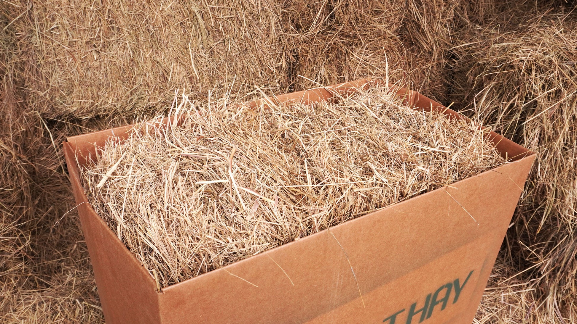 Salt Hay Bale In Box - Mulch Delivery