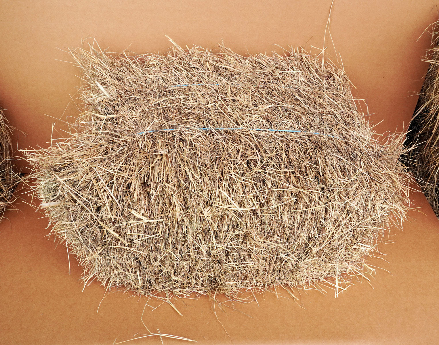 Salt Hay Bale - Vegetable Garden Mulch