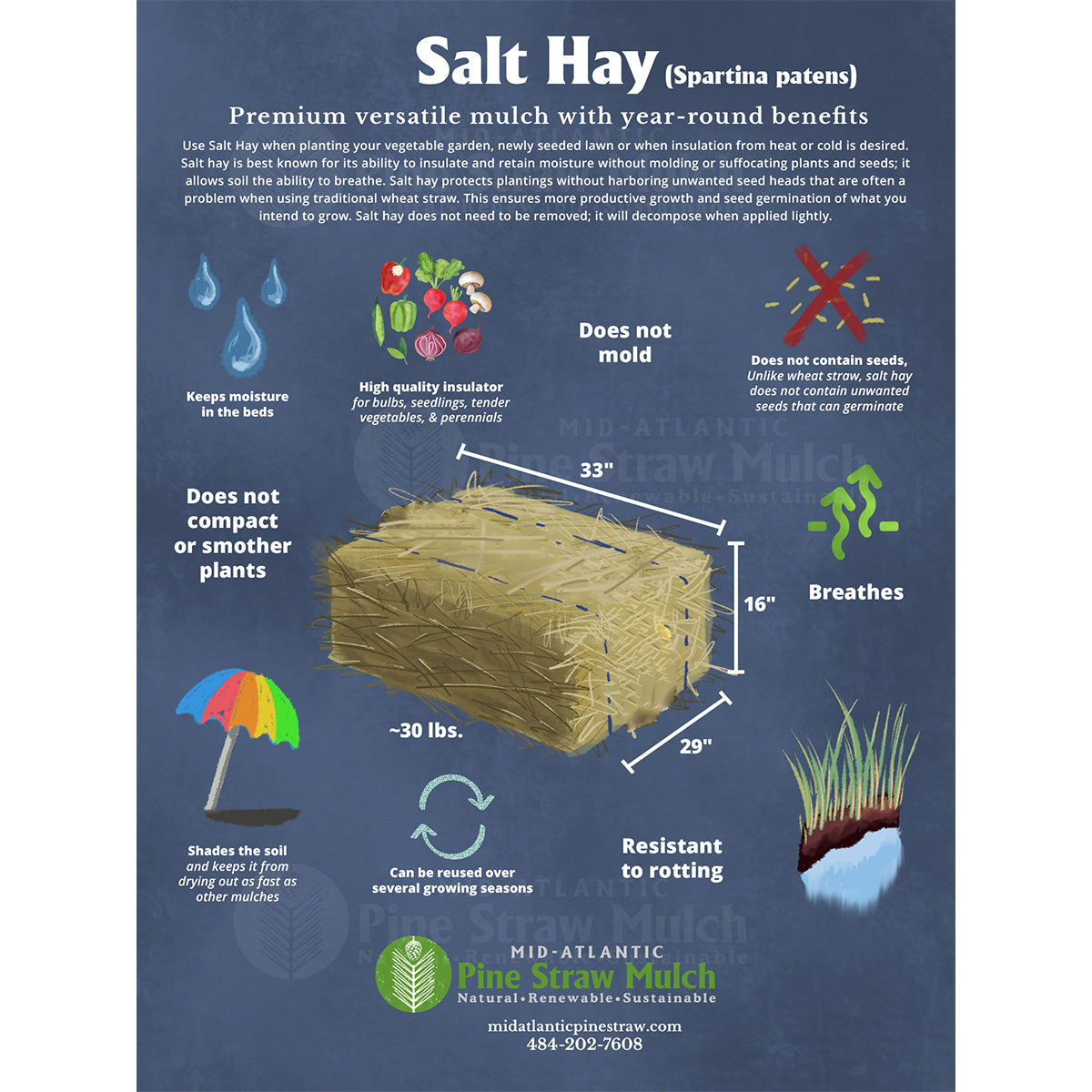 Salt Hay Mulch - Small Box (12"x12"x12")
