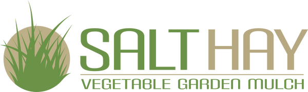 Salt Hay Vegetable Garden Mulch