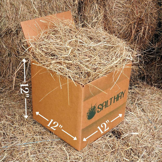 Salt Hay Mulch - Small Box (12"x12"x12")