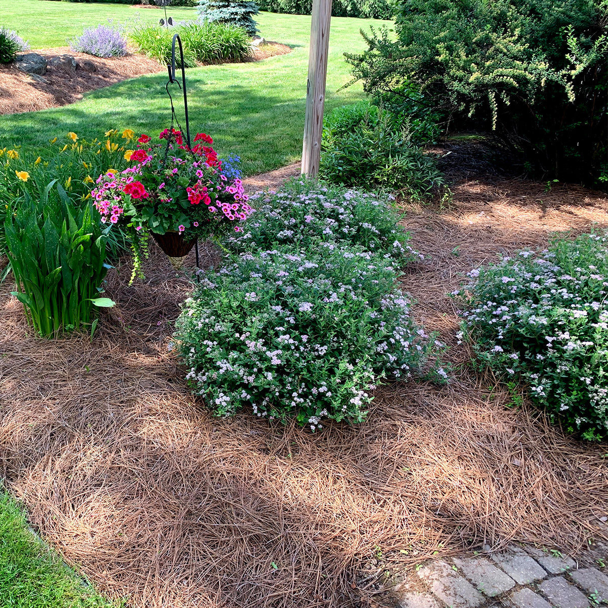 Pine Straw Garden Mulch