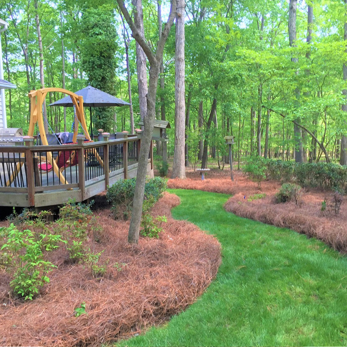 Longleaf Pine Straw Mulch - Bale Box (26"x14"x14")