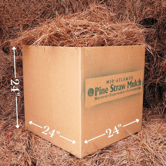 Pine Straw Delivery LG Box Dimensions