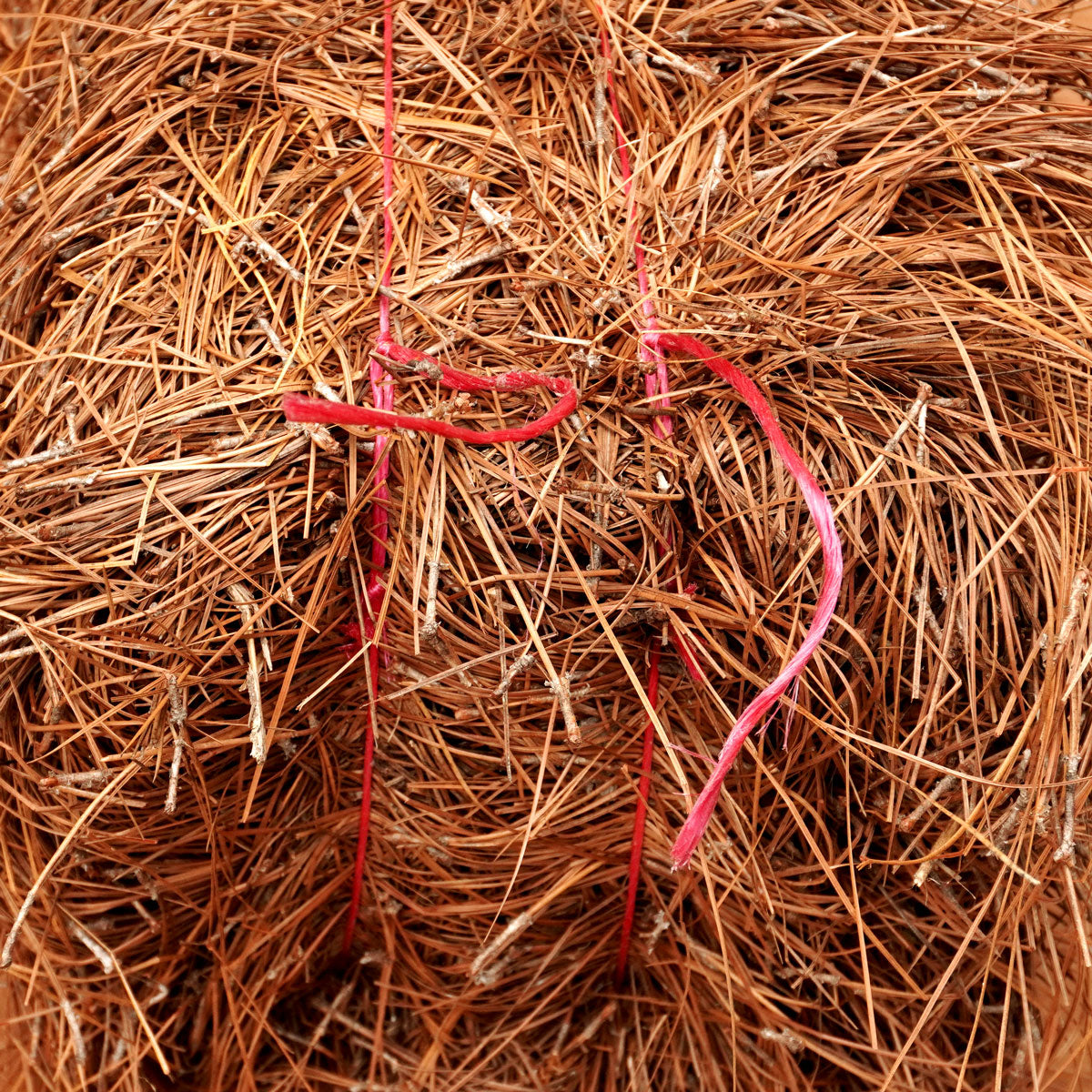 Longleaf Pine Straw Mulch Delivery - Extra Large Box (24